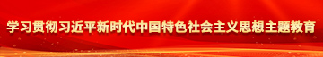 男生的鸡鸡插进男生的屁眼里面视频学习贯彻习近平新时代中国特色社会主义思想主题教育